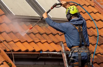 Démoussage et hydrofuge de toiture à Stigny
